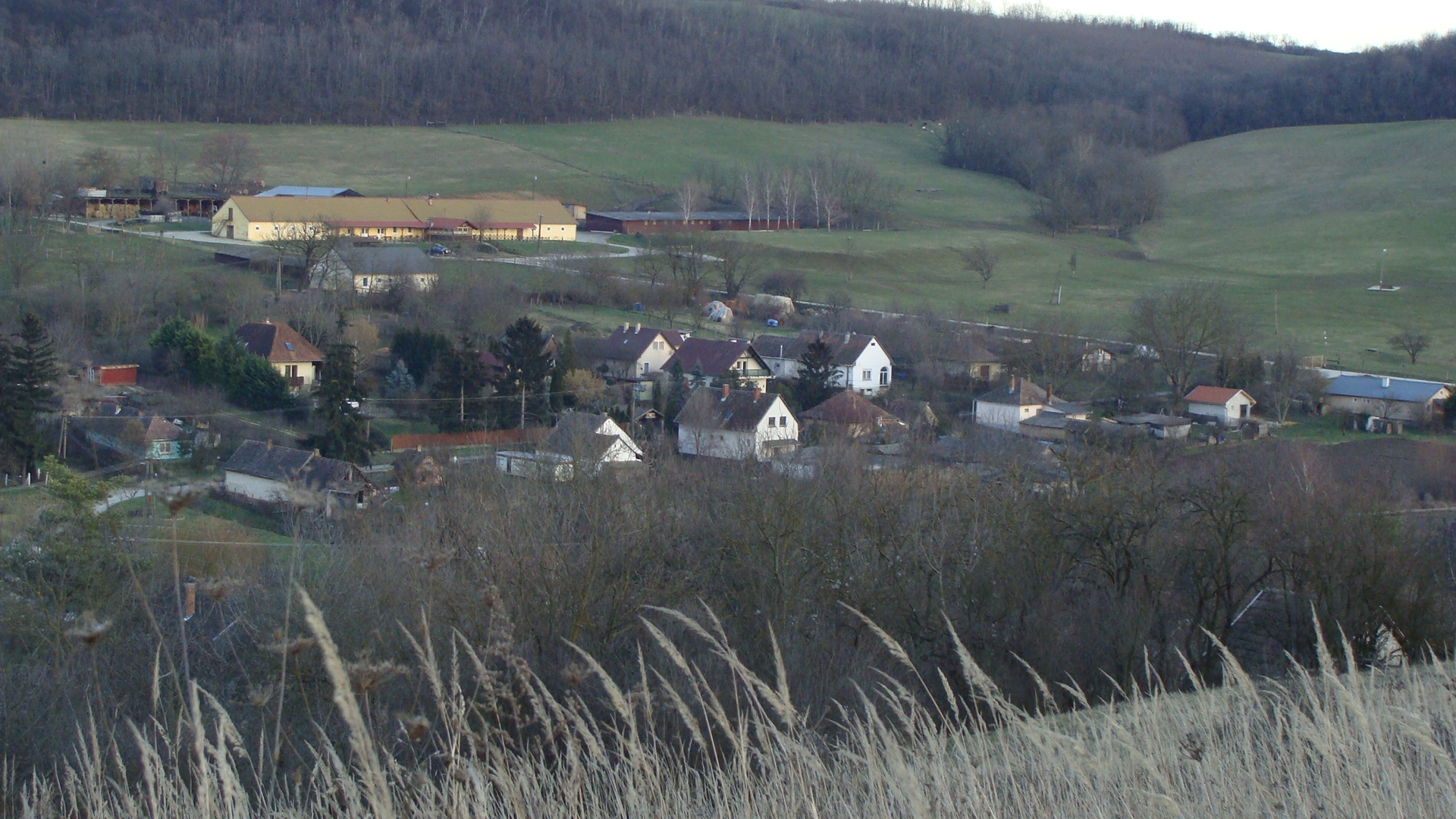 DSC06972